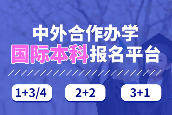 中外合作办学国际本科报名入口是什么？